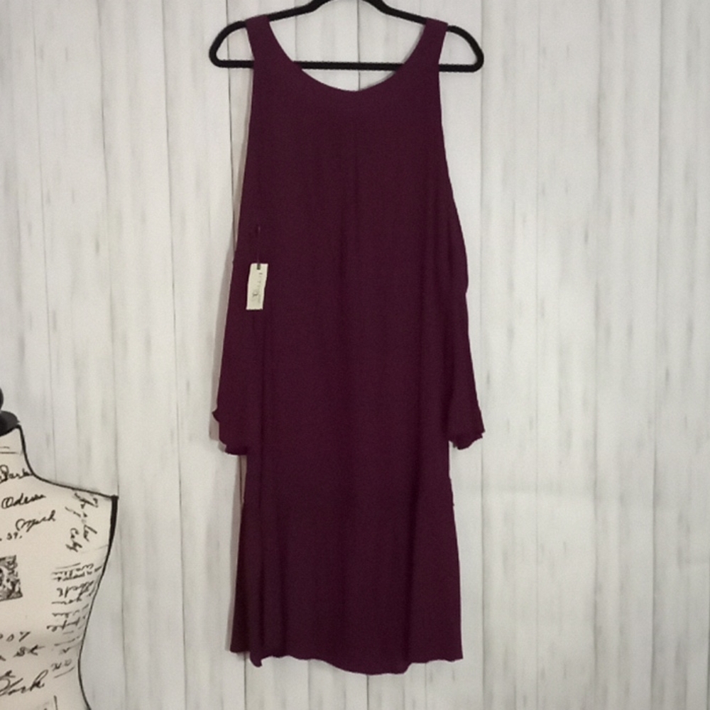 NWT Size 2X Terra & Sky Dress